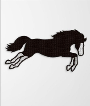 Camisa Polo - Quarter Horse