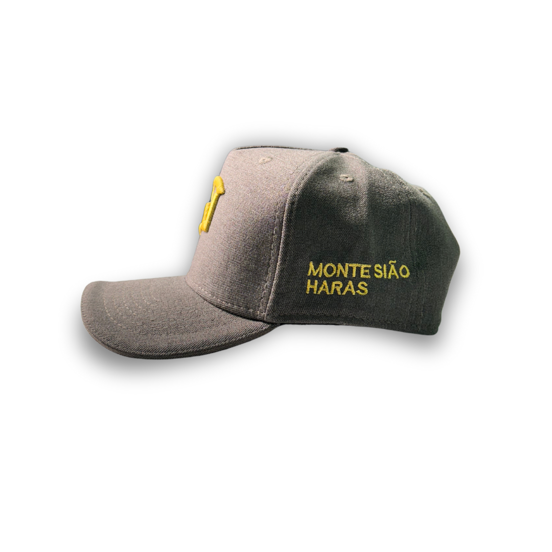 Boné Monte Sião Haras - Cinza